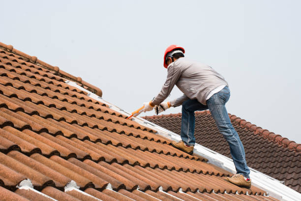 Best Roof Insulation Installation  in Mission, SD