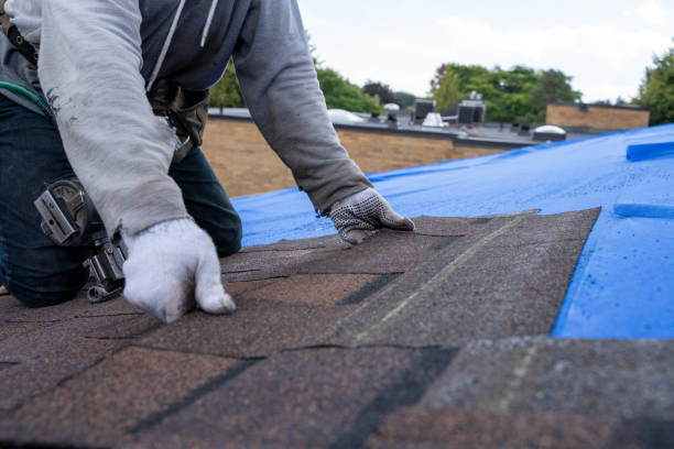 Best Green or Eco-Friendly Roofing Solutions  in Mission, SD